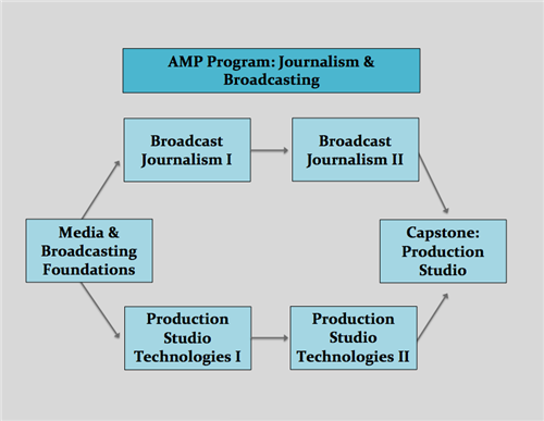 flowchart of AMP courses 